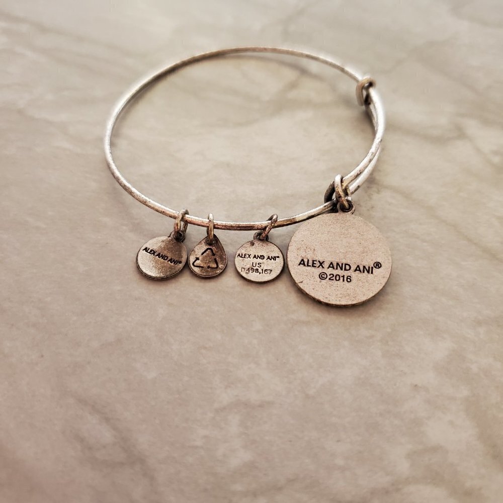 🍎 Alex and Ani Silver NYC New York City Apple Charm Expandable Bangle 🍎 - Picture 4 of 5